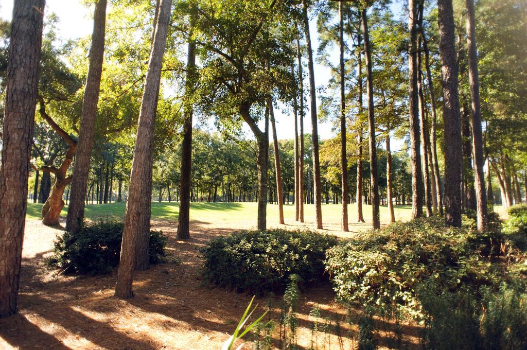 Hotel Pawleys Plantation Golf & Country Club Pawleys Island Exteriér fotografie